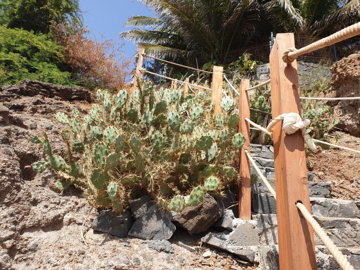 Cactus Guest House Cidade Velha Eksteriør billede