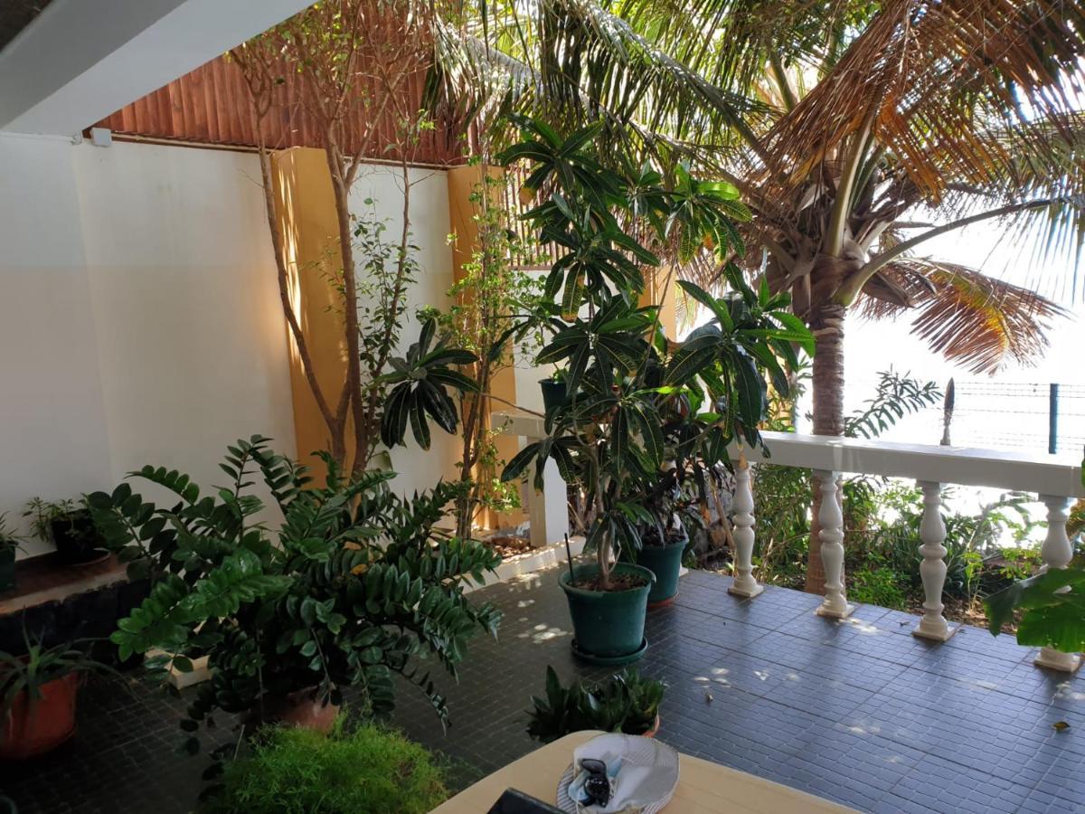 Cactus Guest House Cidade Velha Eksteriør billede